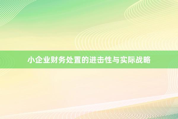 小企业财务处置的进击性与实际战略